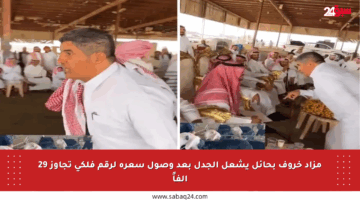 مزاد خروف بحائل يشعل الجدل بعد وصول سعره لرقم فلكي تجاوز 29 ألفاً